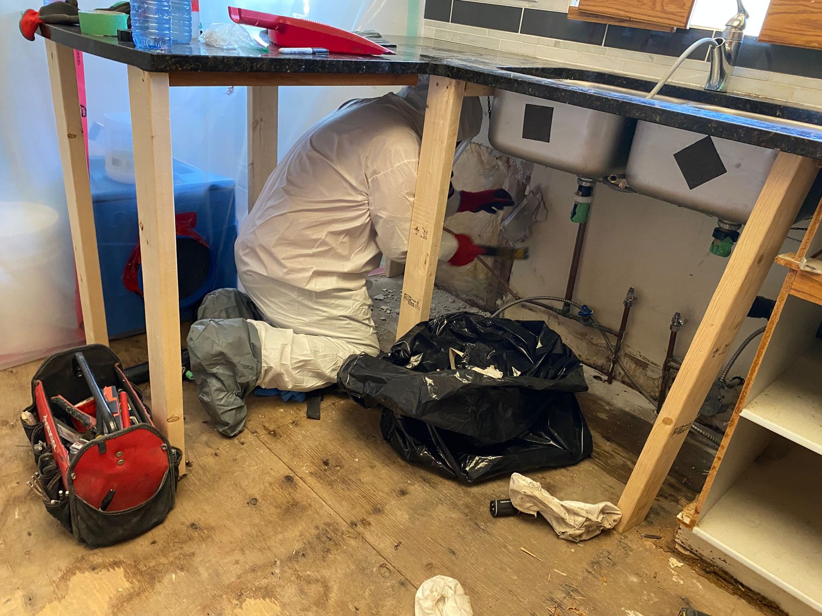 Mold Remediation